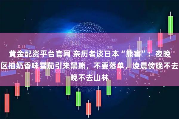黄金配资平台官网 亲历者谈日本“熊害”：夜晚在山区抽奶香味雪茄引来黑熊，不要落单，凌晨傍晚不去山林