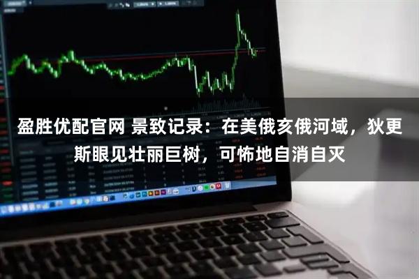 盈胜优配官网 景致记录：在美俄亥俄河域，狄更斯眼见壮丽巨树，可怖地自消自灭