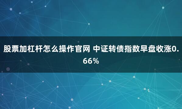 股票加杠杆怎么操作官网 中证转债指数早盘收涨0.66%