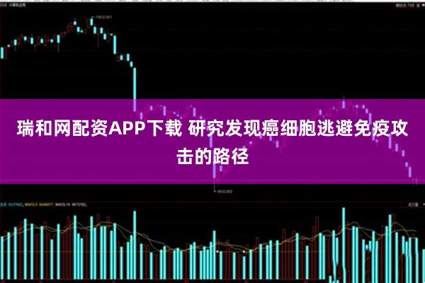 瑞和网配资APP下载 研究发现癌细胞逃避免疫攻击的路径