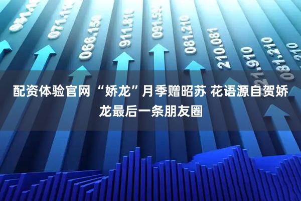 配资体验官网 “娇龙”月季赠昭苏 花语源自贺娇龙最后一条朋友圈